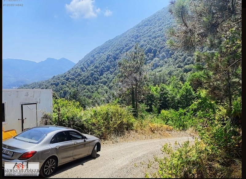 AYHAN HEPDİKER DEN GEYVE NURİOSMANİYEDE 18000 M2 HARİKA KONUMDA