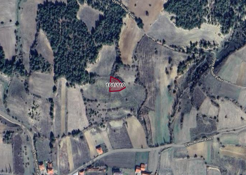 Fotoğraf