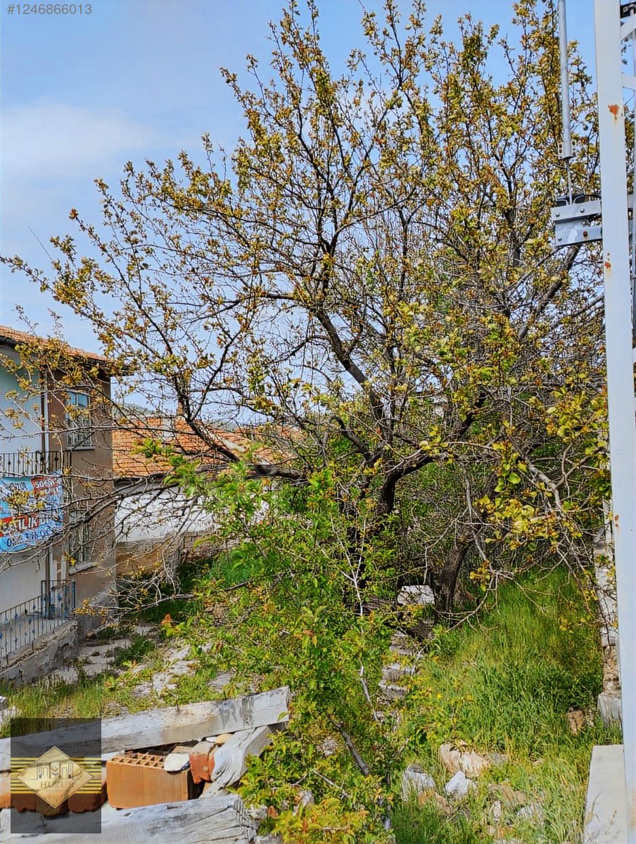 HUZUR YATIRIM'DAN SATILIK MÜSTAKİL EV VE ARSASI