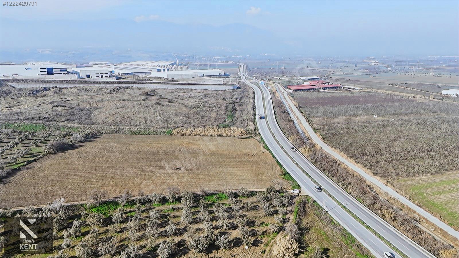 Fotoğraf