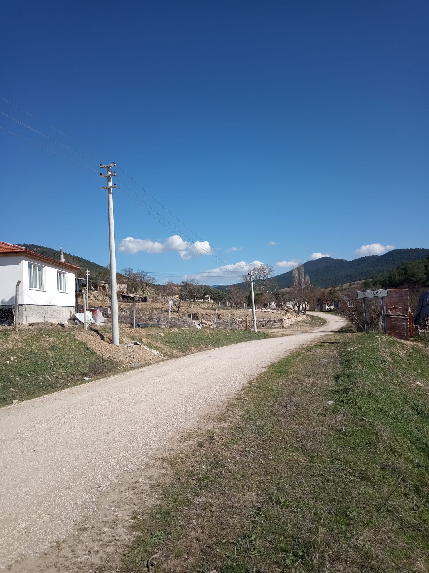 Fotoğraf