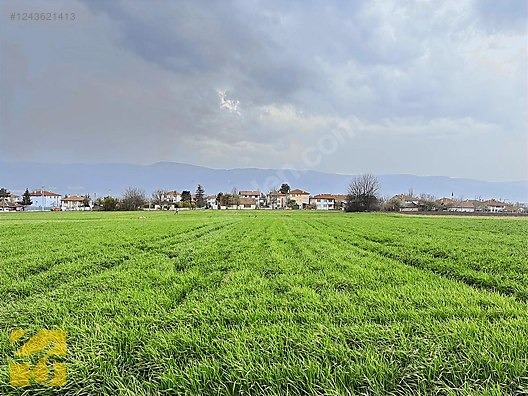 İlan Fotoğrafı