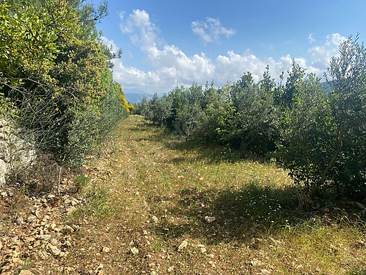 İlan Fotoğrafı