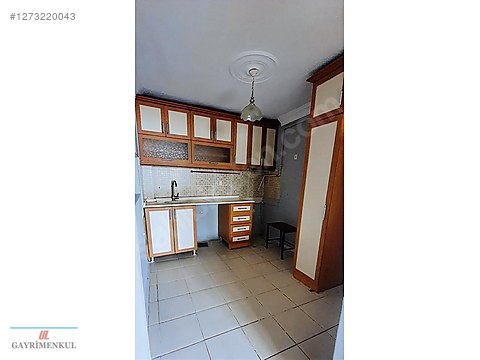 Fotoğraf