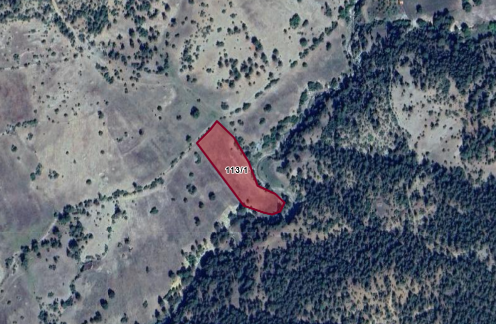 KÜTAHYA TAVŞANLI NUSRETLER  KÖYÜNDE 6.329 M²  TARLA  SATILIKTIR