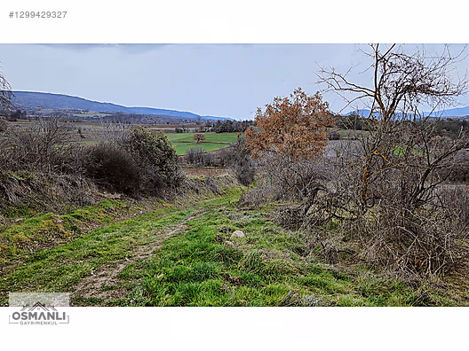 İlan Fotoğrafı