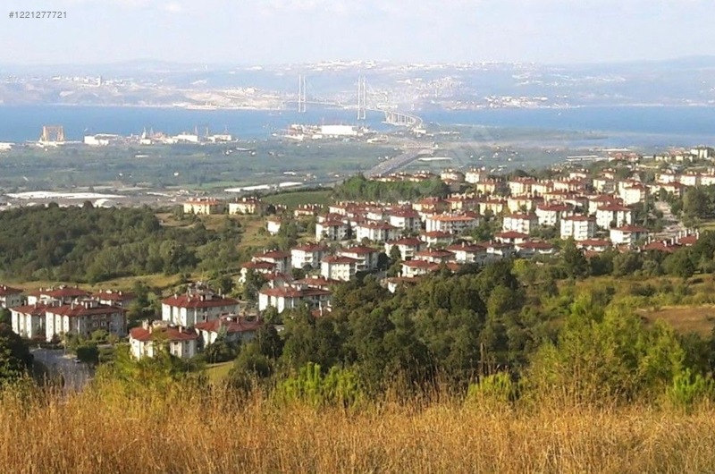 Fotoğraf