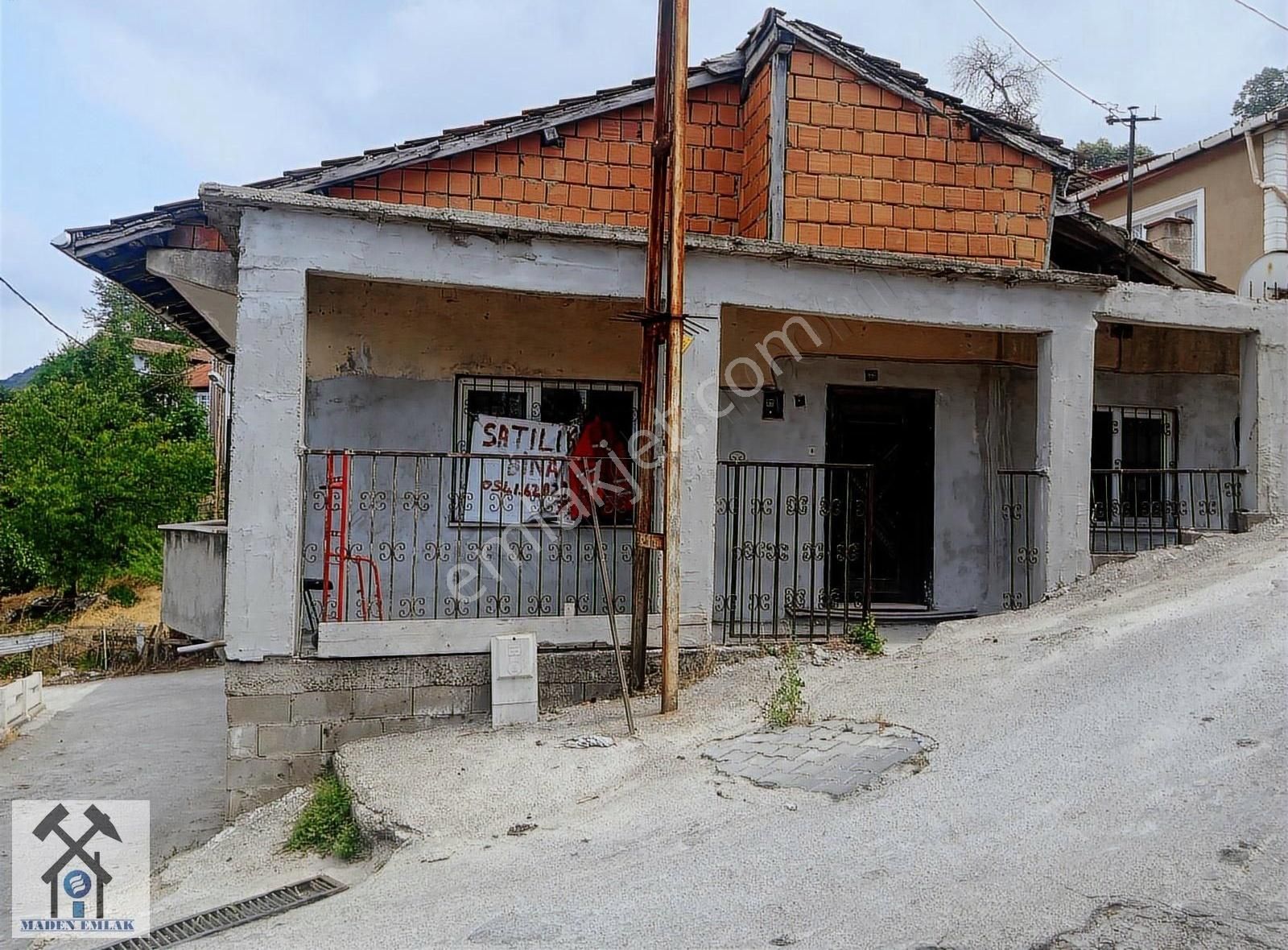 Fotoğraf
