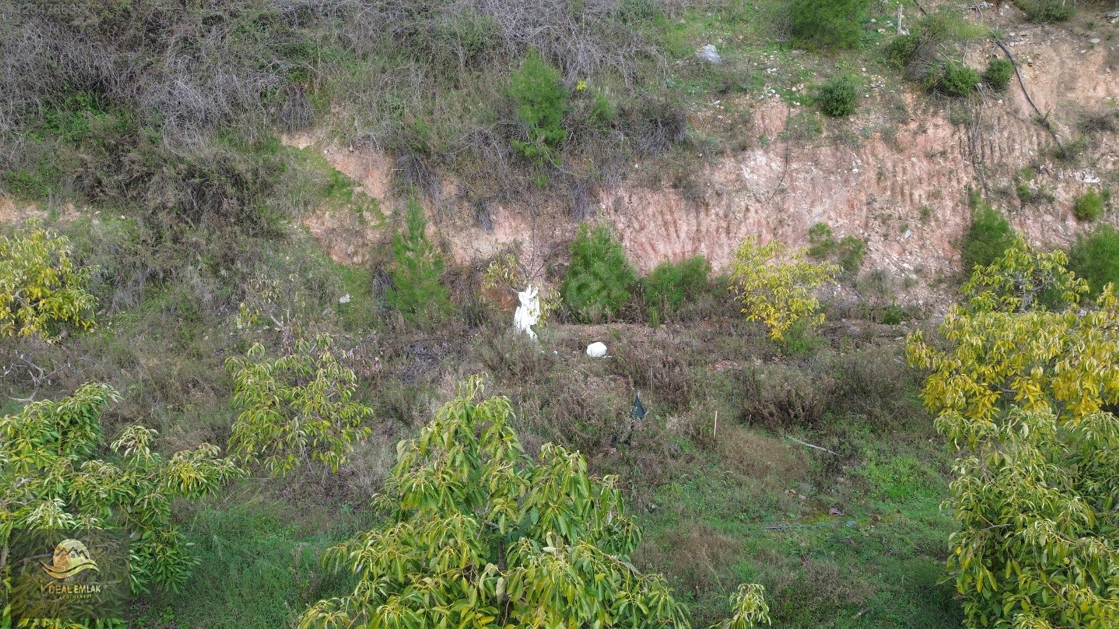 İlan Fotoğrafı