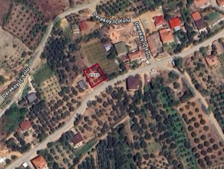 Fotoğraf