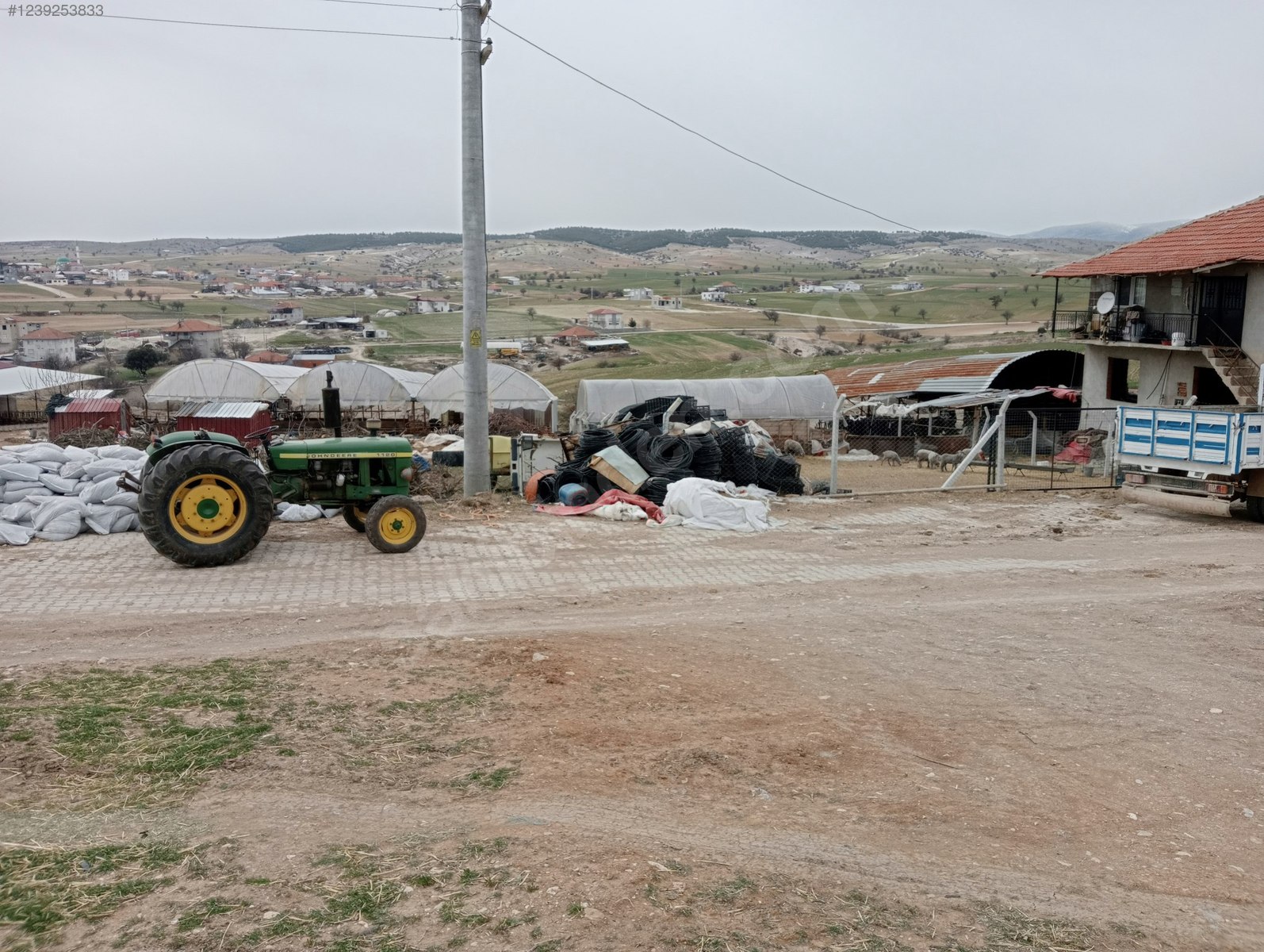 Fotoğraf