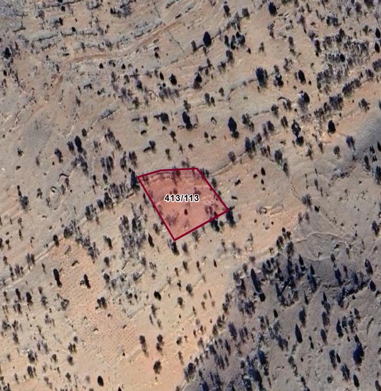 Fotoğraf