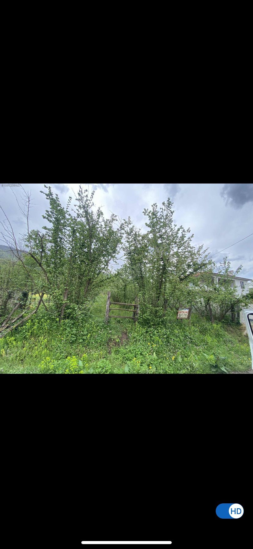 Fotoğraf