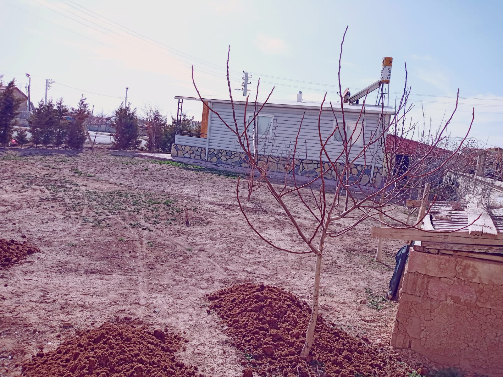 Fotoğraf