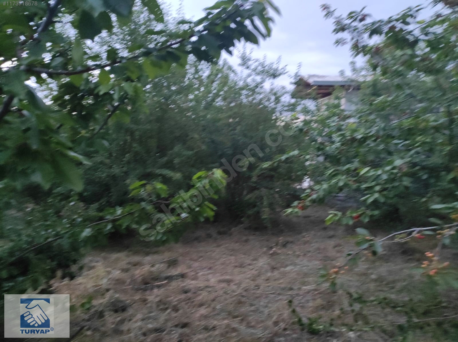 İlan Fotoğrafı