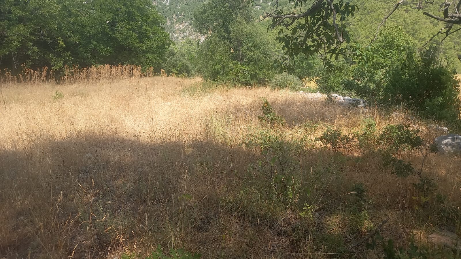 İlan Fotoğrafı