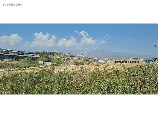 Fotoğraf