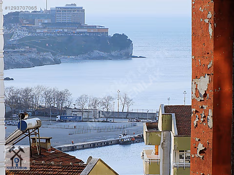 Fotoğraf