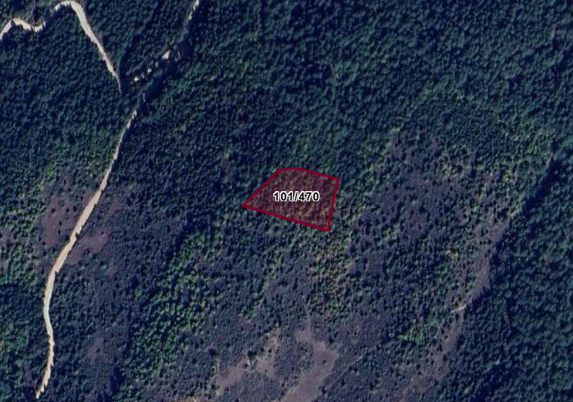 KÜTAHYA DOMANİÇ SARIOT  KÖYÜNDE 4.201 M² TARLA SATILIKTIR