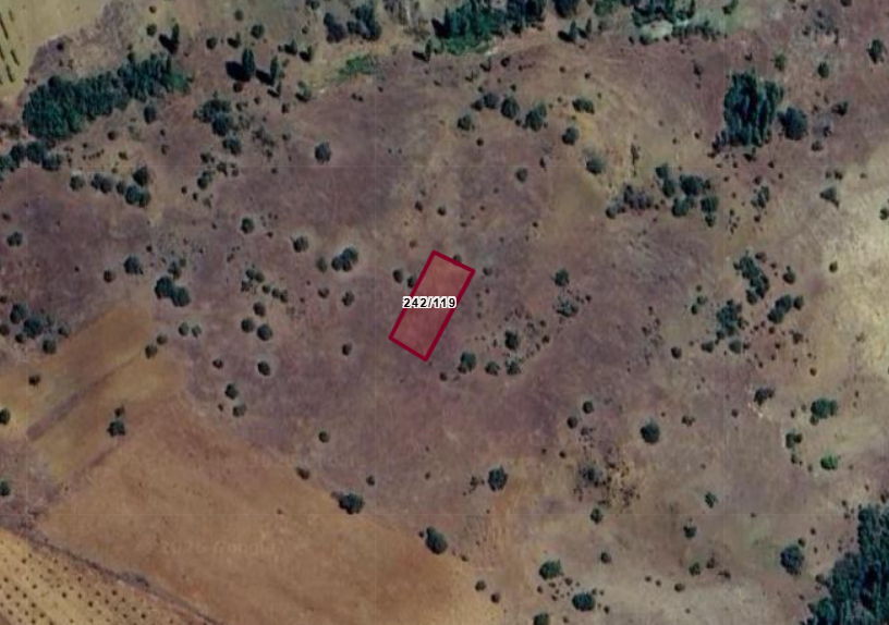 KONYA GÜNEYSINIR KARAGÜNEY (AĞRAS)  KÖYÜNDE  506  M²  BAĞ  SATILIKTIR