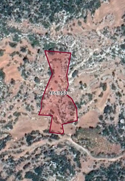 Fotoğraf
