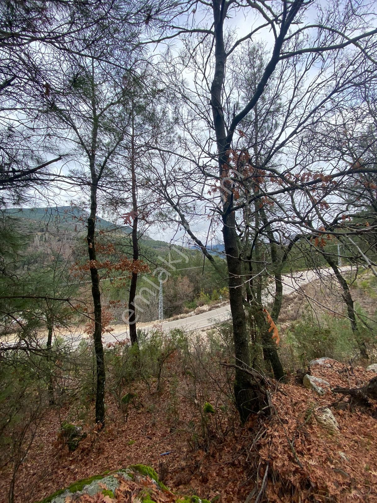 İlan Fotoğrafı