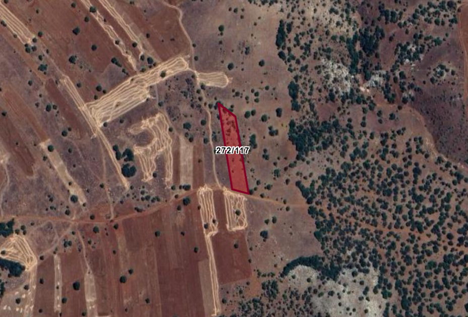     KONYA GÜNEYSINIR KIZILÖZ  KÖYÜNDE 2.896 M²  TARLA  SATILIKTIR