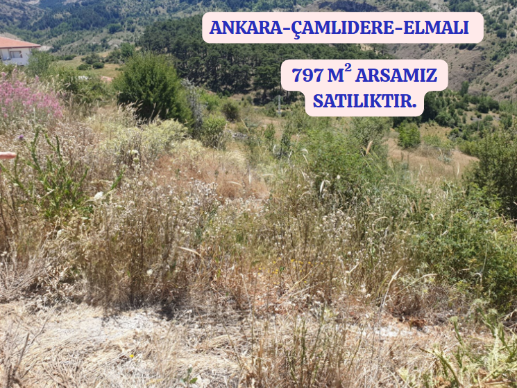Fotoğraf