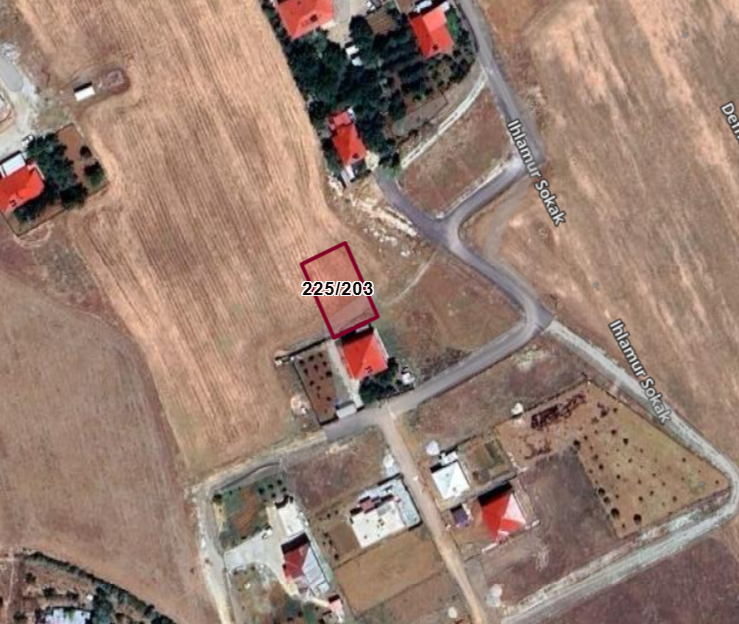 Fotoğraf