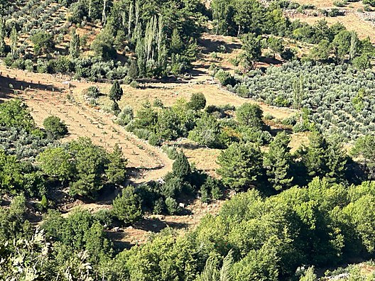 İlan Fotoğrafı