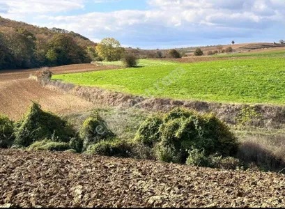 Kandıra Ömerli De Satılık Arsa