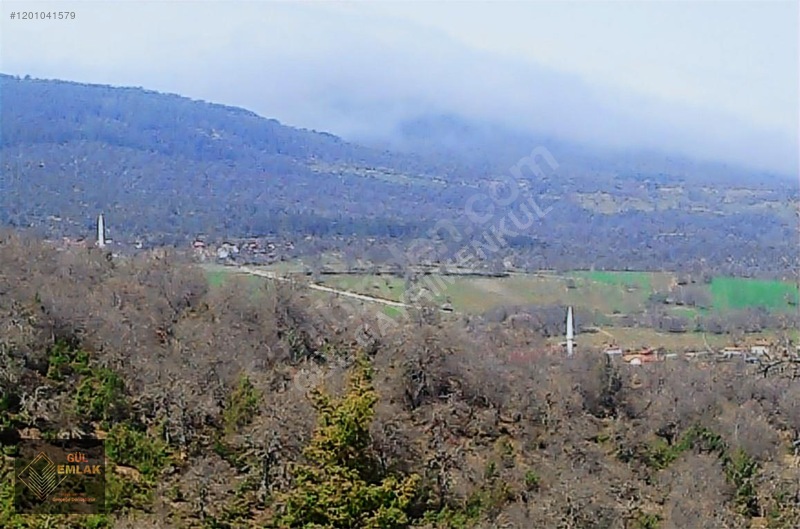İlan Fotoğrafı