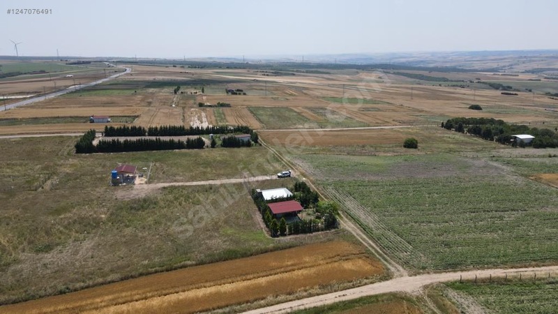 Fotoğraf
