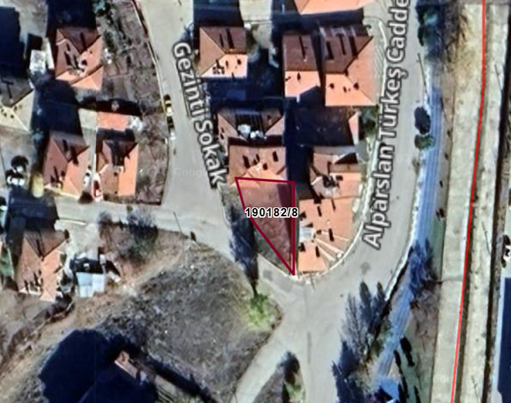 Fotoğraf