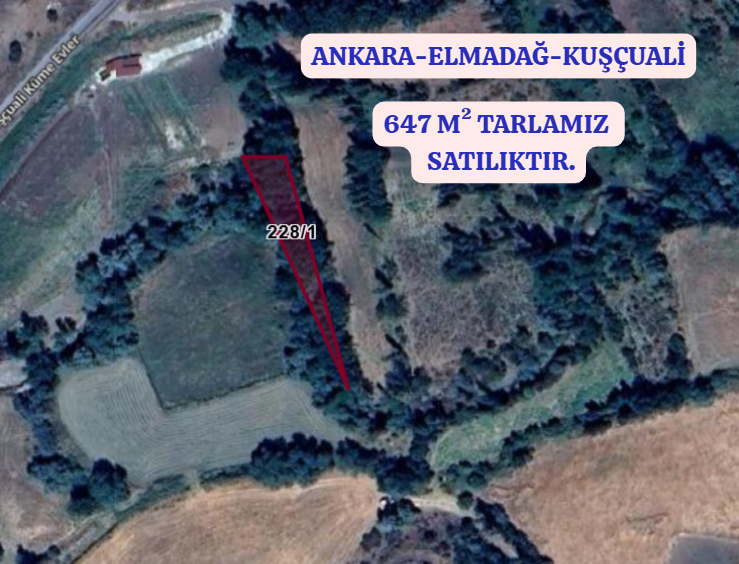 Fotoğraf