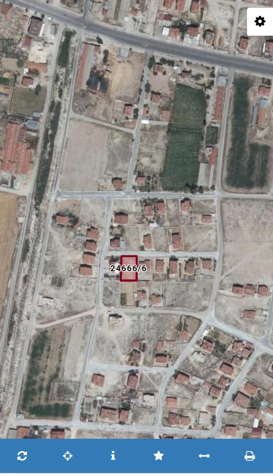 Fotoğraf