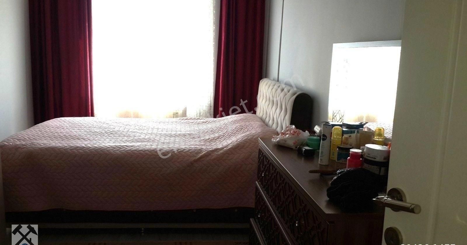Fotoğraf
