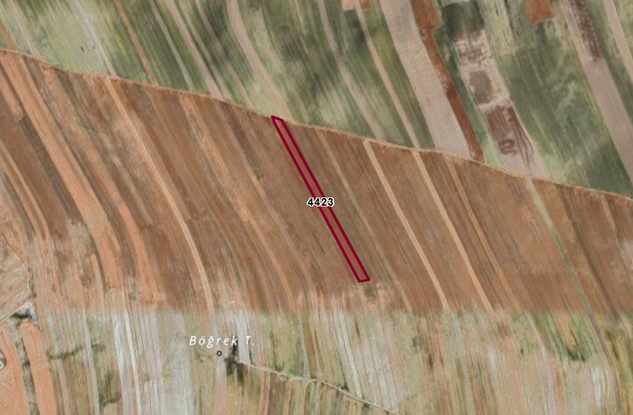 ANKARA BEYPAZARI KIRBAŞI(GELEĞRA)   KÖYÜNDE  7.120  M²  TARLA  SATILIKTIR