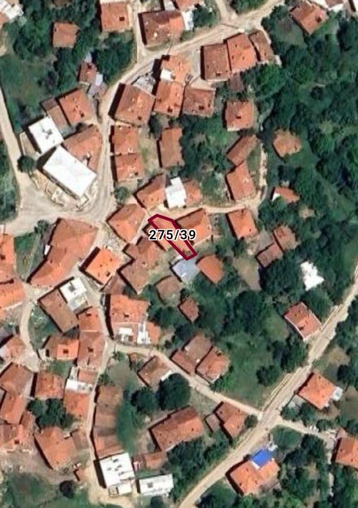 Fotoğraf