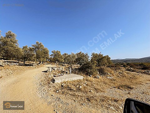 İlan Fotoğrafı