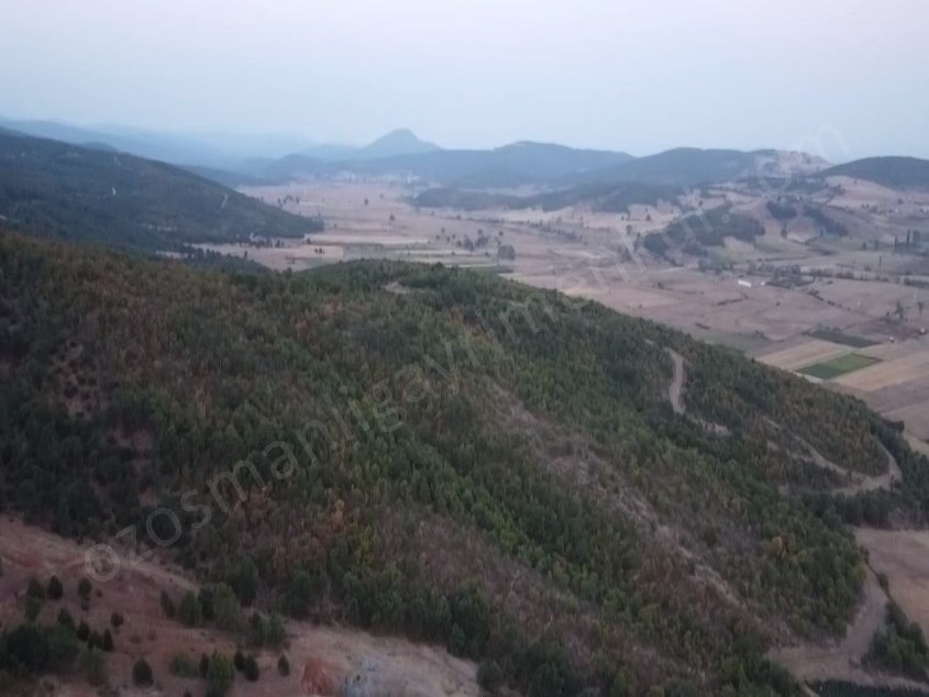 Fotoğraf