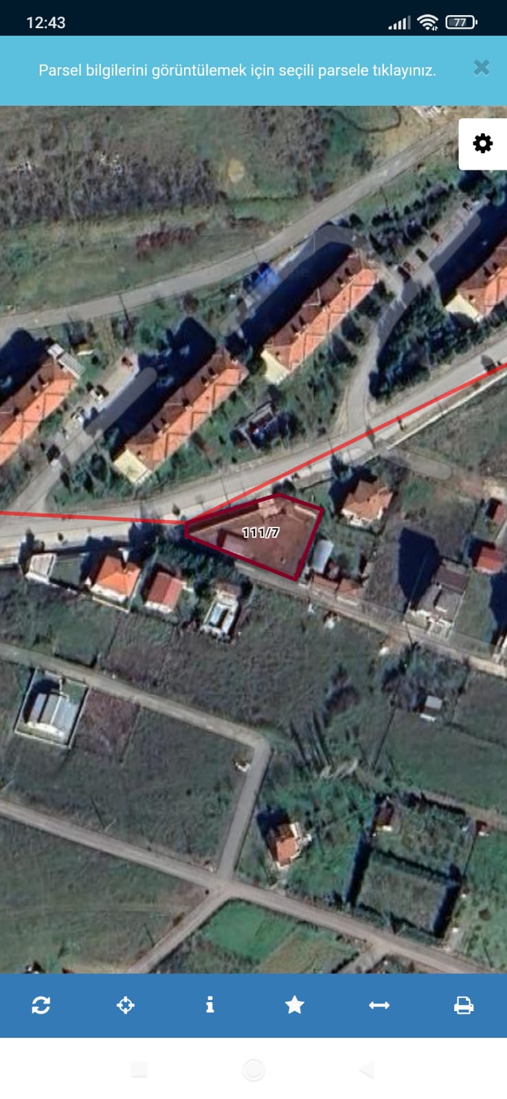 Fotoğraf