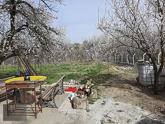 İlan Fotoğrafı