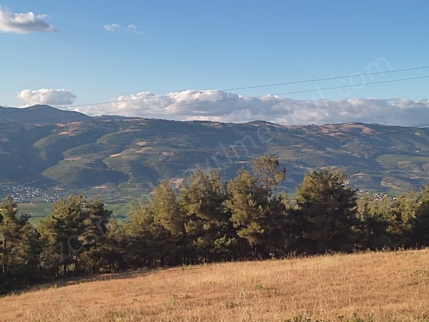 Fotoğraf