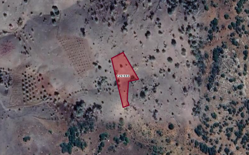 KONYA GÜNEYSINIR GÜRAĞAÇ  KÖYÜNDE  1.519   M²  BAĞ  SATILIKTIR