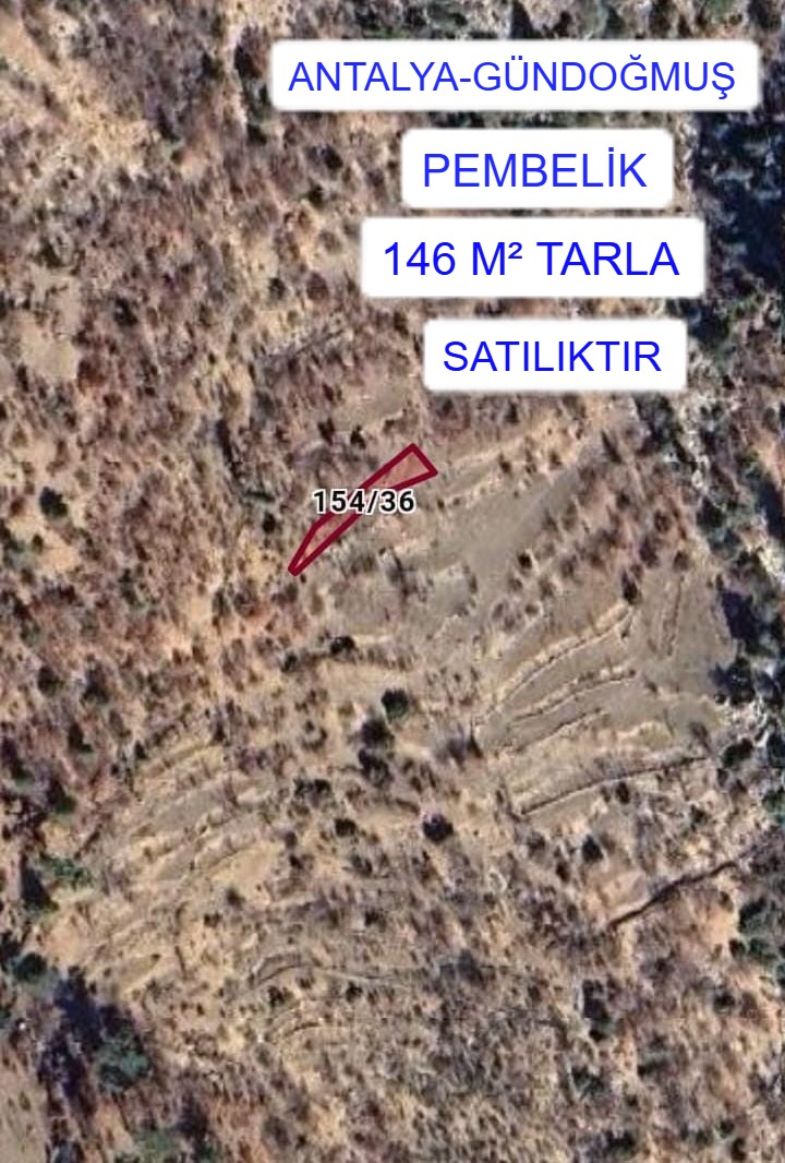 Fotoğraf
