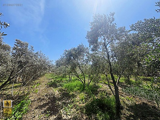 İlan Fotoğrafı