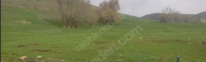 Fotoğraf