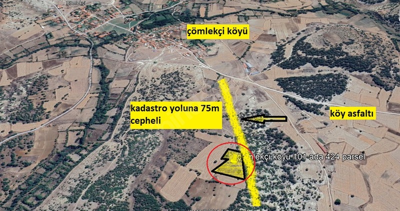 Fotoğraf
