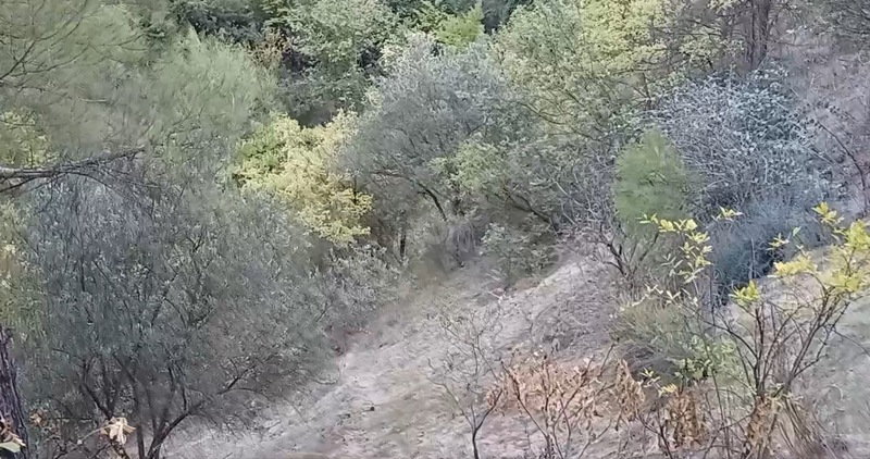 Fotoğraf